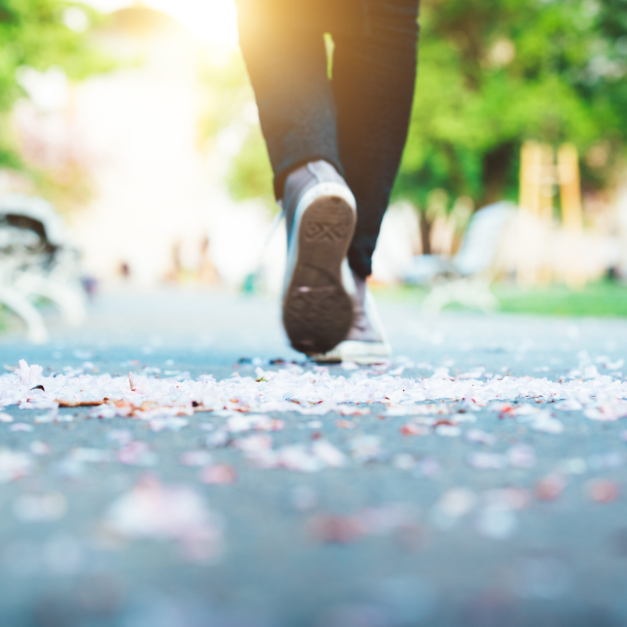 Woman walking along the footpath in the direction of a sun. Close-up of feet in a spring park with cherry petals lying on the ground. City park in Prague.